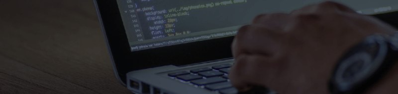 https://doit.software/blog/go-vs-python#screen1
