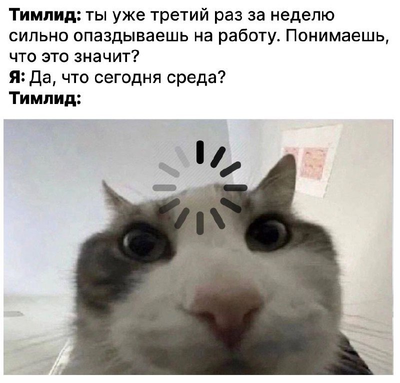 ​«Тимлид по сути — это сейчас мета-роль. Матрешка из обязанностей. Многие думают что им выпала велик...